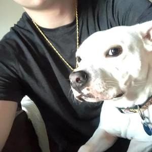 Meet your Posher, James